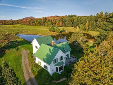 +/- 200 ACRES A MANSONVILLE * A 6 MINUTES D'OWLS HEAD * Nichee - photo 4