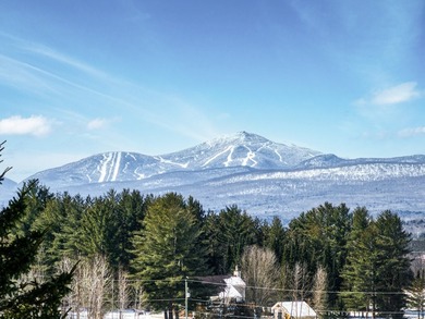 +/- 200 ACRES A MANSONVILLE * A 6 MINUTES D'OWLS HEAD * Nichee - photo 6