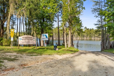 Lake Acreage For Sale in Grand Ridge, Florida