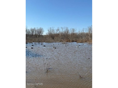 (private lake, pond, creek) Acreage For Sale in Lavinia Tennessee