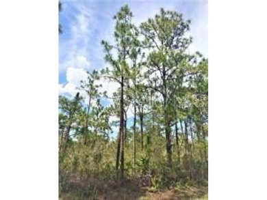 Lake Weohyakapka Lot For Sale in Indian Lake Estates Florida