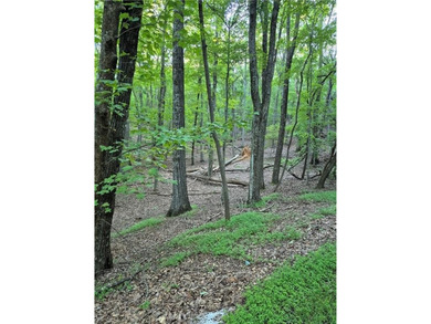 Cove Lake Lot For Sale in Big Canoe Georgia