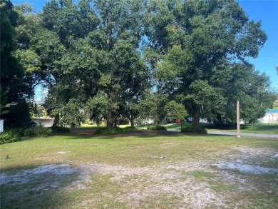 Lake Bonny Lot Sale Pending in Lakeland Florida