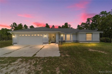 Lake Home For Sale in Dunnellon, Florida