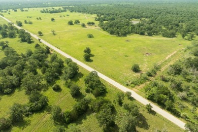 (private lake, pond, creek) Home For Sale in Flatonia Texas