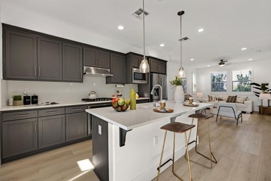 Welcome to 1311 S Milpitas Blvd, a bright and airy 2017-built - photo 10