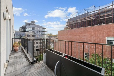 Sun-Drenched Duplex Living with Three Private Outdoor Spaces - photo 11