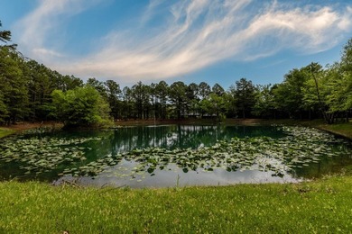 Exciting news! Phase 4 of Timber Ridge Estates is now available - photo 11