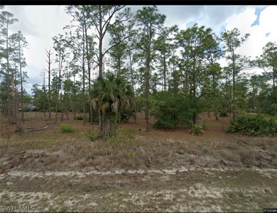 Lehigh Acres Area Lot For Sale in Lehigh Acres Florida