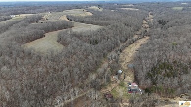 (private lake, pond, creek) Home For Sale in Knifley Kentucky