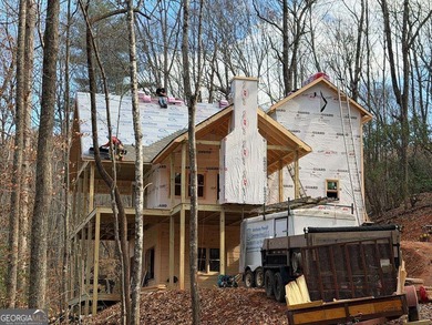 Lake Home For Sale in Blue Ridge, Georgia