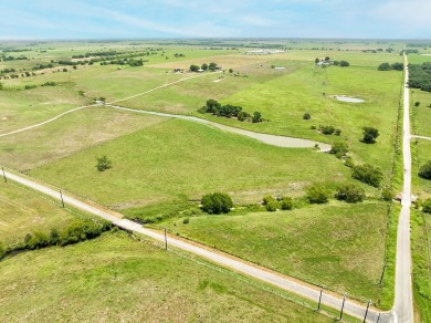 (private lake, pond, creek) Home For Sale in Shiner Texas