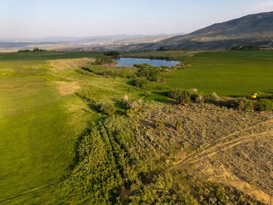 Flaming Gorge Lake Acreage For Sale in Manila Utah