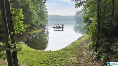 Rare lakefront opportunity on beautiful Lake Wedowee! This - photo 7