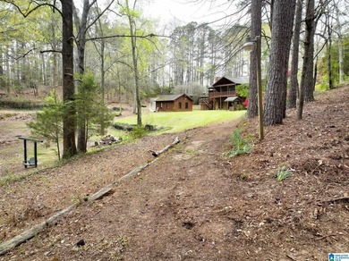 Rare lakefront opportunity on beautiful Lake Wedowee! This - photo 8