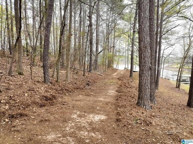 Rare lakefront opportunity on beautiful Lake Wedowee! This - photo 9