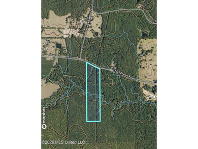 This 25.82+/- acres in Copiah County is certain to entertain - photo 1
