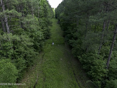 This 25.82+/- acres in Copiah County is certain to entertain - photo 2