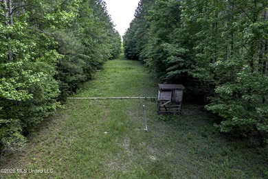 This 25.82+/- acres in Copiah County is certain to entertain - photo 3