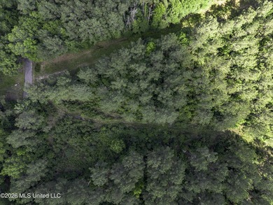 This 25.82+/- acres in Copiah County is certain to entertain - photo 4