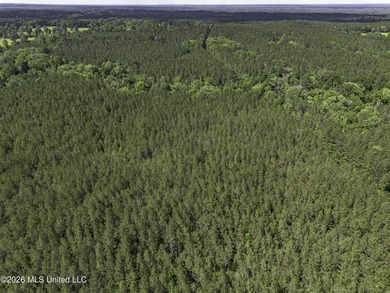 This 25.82+/- acres in Copiah County is certain to entertain - photo 5