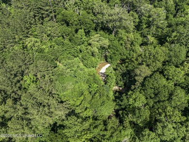 This 25.82+/- acres in Copiah County is certain to entertain - photo 6