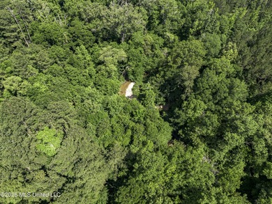 This 25.82+/- acres in Copiah County is certain to entertain - photo 7