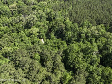 This 25.82+/- acres in Copiah County is certain to entertain - photo 8