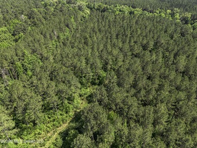This 25.82+/- acres in Copiah County is certain to entertain - photo 9