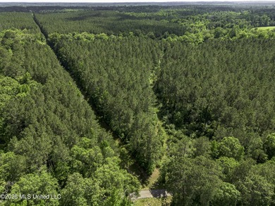 This 25.82+/- acres in Copiah County is certain to entertain - photo 10