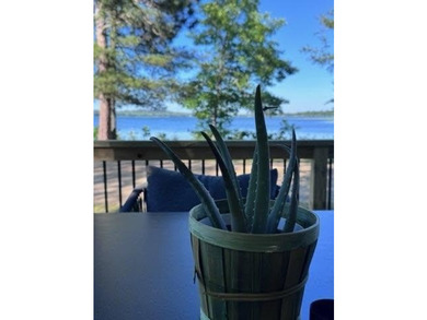 Big Portage Lake - Right on the price! Right on the water! This - photo 21
