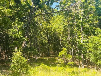 Bull Shoals Lake is minutes away, the boat launch is close, and - photo 1