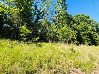 Bull Shoals Lake is minutes away, the boat launch is close, and - photo 2