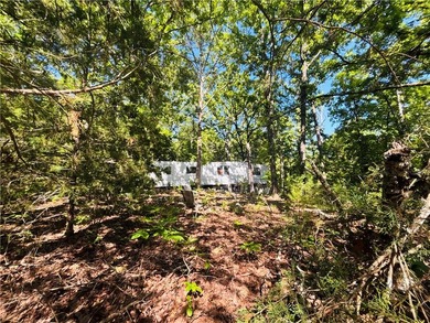 Bull Shoals Lake is minutes away, the boat launch is close, and - photo 3