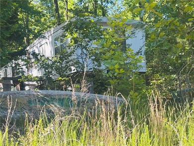 Bull Shoals Lake is minutes away, the boat launch is close, and - photo 4