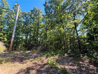 Bull Shoals Lake is minutes away, the boat launch is close, and - photo 5