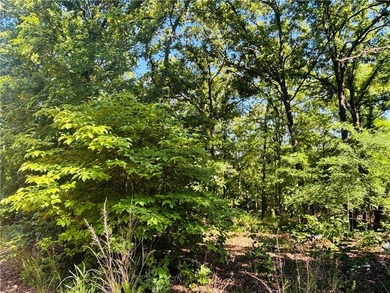 Bull Shoals Lake is minutes away, the boat launch is close, and - photo 7