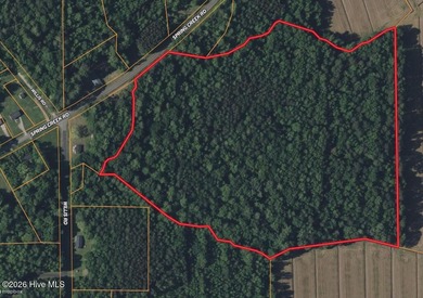 Pamlico River Acreage Sale Pending in Aurora North Carolina