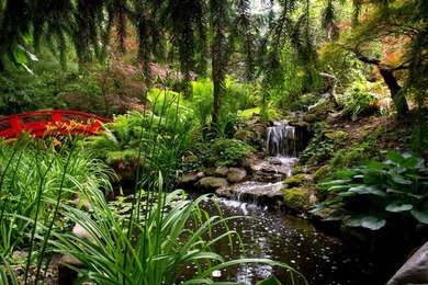 A RARE OPPORTUNITY TO OWN A 10-ACRE GATED PRIVATE ESTATE OF - photo 6