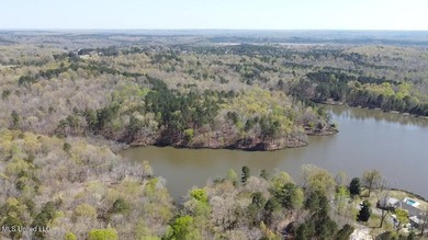 25 Acres on Lafayette Lake- Only 10 Minutes From Oxford, MS! - photo 11