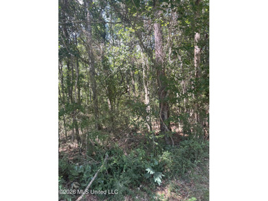 373+/- acres located on the north side of Interstate I-10 just - photo 11