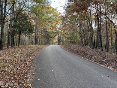 25 Acres on Lafayette Lake- Only 10 Minutes From Oxford, MS! - photo 12