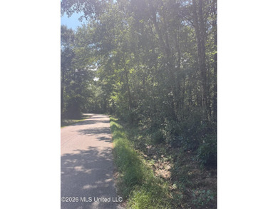373+/- acres located on the north side of Interstate I-10 just - photo 12