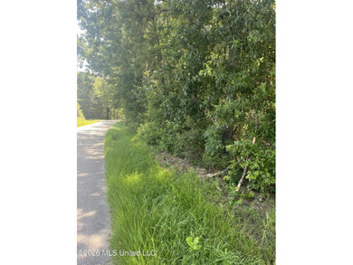 373+/- acres located on the north side of Interstate I-10 just - photo 13