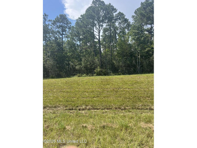 373+/- acres located on the north side of Interstate I-10 just - photo 14