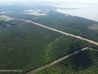373+/- acres located on the north side of Interstate I-10 just - photo 15
