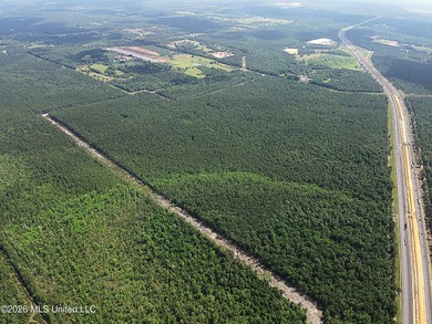 373+/- acres located on the north side of Interstate I-10 just - photo 16
