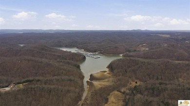 Welcome to Lake Living at Its Finest in Burkesville, KY - photo 7