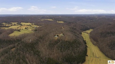 Welcome to Lake Living at Its Finest in Burkesville, KY - photo 8