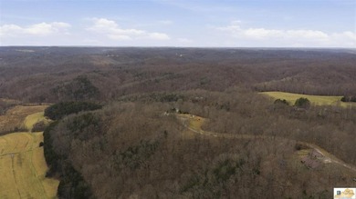 Welcome to Lake Living at Its Finest in Burkesville, KY - photo 9